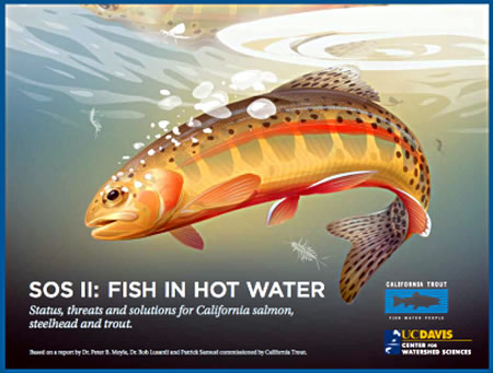 SOS II: fish in hot water